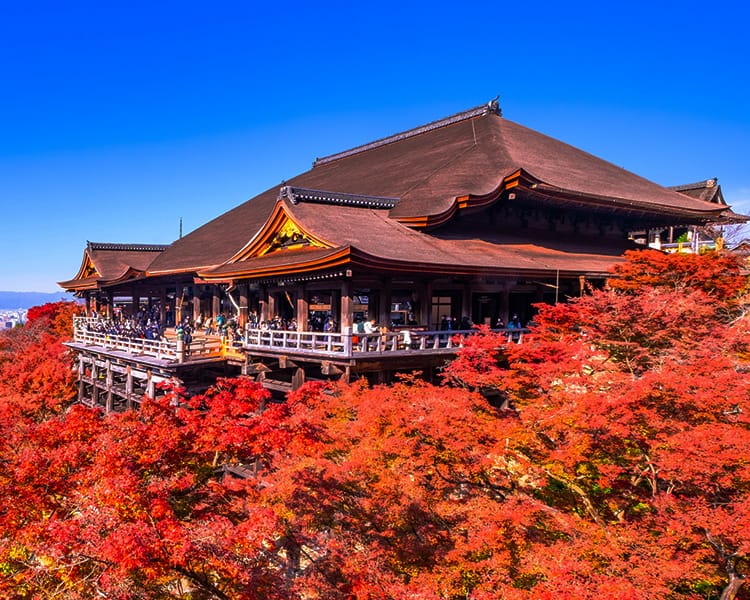 河原町・祇園・清水寺周辺