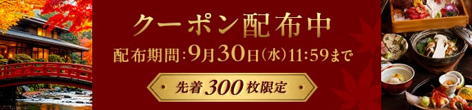 先着300枚限定 クーポン配布中 配布期間:9月30日(水)11:59まで