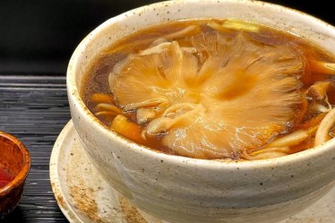 Shi-Fan