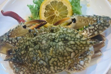 イルシム