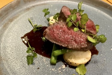 ilifune (イリフネ）