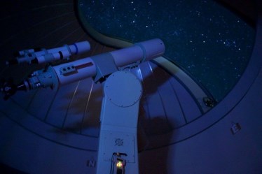 プラトーさとみ