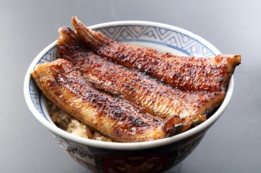 うなぎ専門店 本多