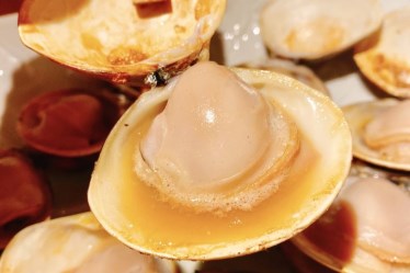 焼はまぐり青山八番too