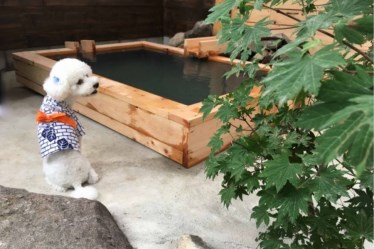 伏楽の館 那須湯本店