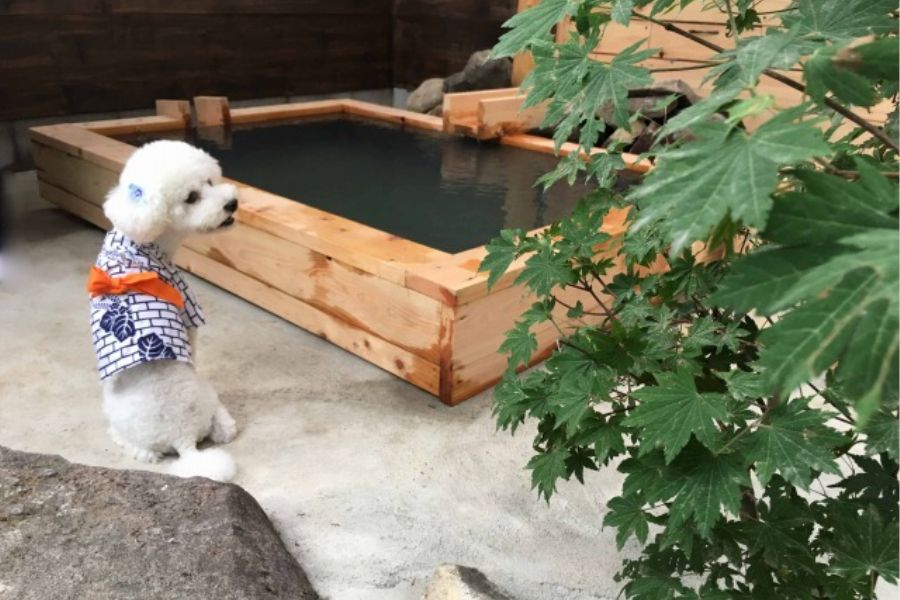 伏楽の館 那須湯本店