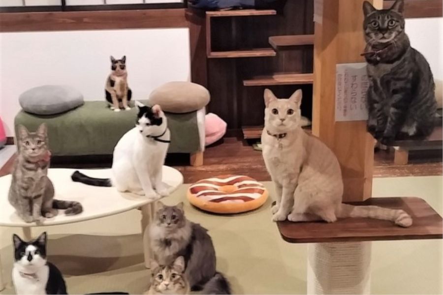 山とねこと遊ぶ宿　みなみ家