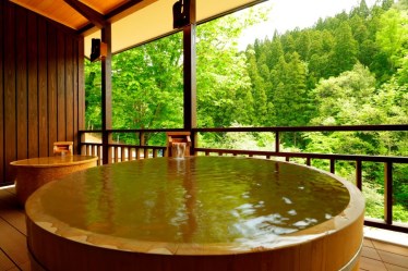 湯けむりの宿 稲住温泉