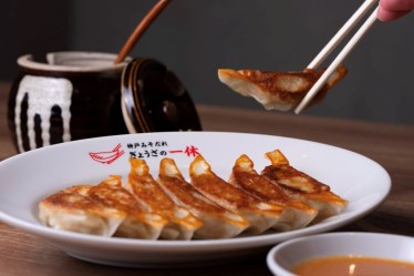 ぎょうざの一休　神戸モザイク店