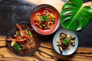 GINGER GRASS modern thai vietnamese