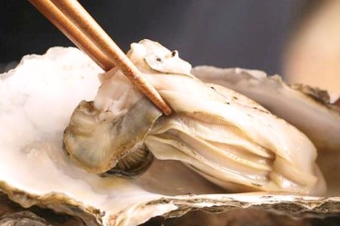 かきのおきて水道橋店