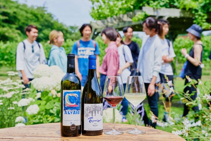 （ワイナリーツアー&テイスティング体験）フェルミエ