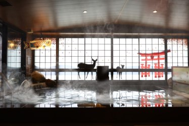 天然温泉 芸州の湯 ドーミーイン広島ANNEX