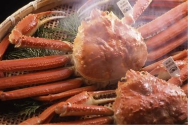 きときと名古屋店
