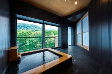 箱根ひばり乃