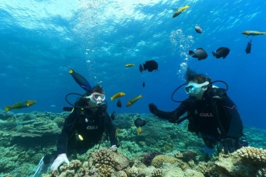 TEERA SCUBA VENTURES, OKINAWA
