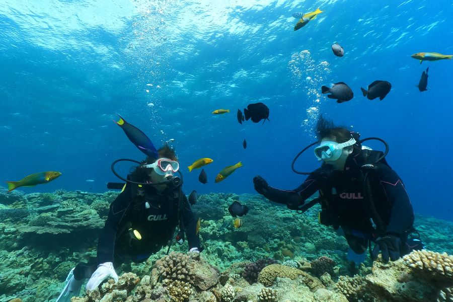 TEERA SCUBA VENTURES, OKINAWA