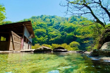 小川温泉元湯 ホテルおがわ