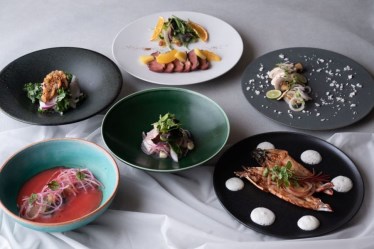 THE Tender HOUSE DINING