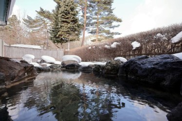 （日帰り温泉）花巻温泉郷　金矢温泉ホテル銀河パークはなまき
