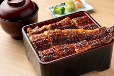 備長炭火 うな木