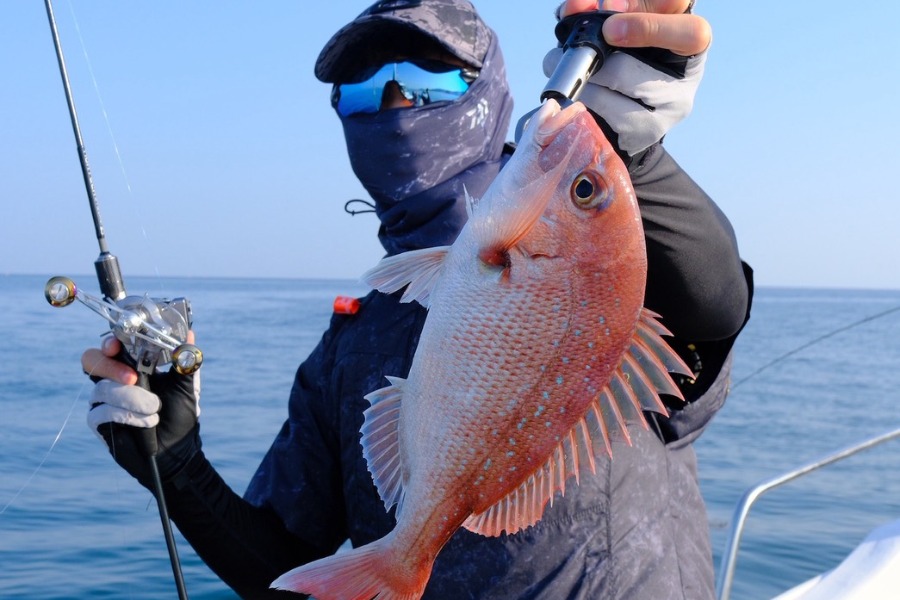 釣り船　若松丸