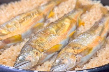 四季肴酒家きなり