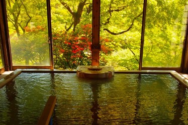 （日帰り温泉）松川屋那須高原ホテル