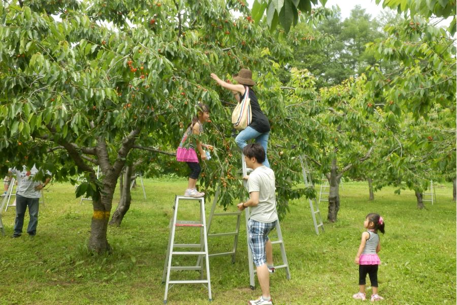 八剣山果樹園（果物・野菜収穫）