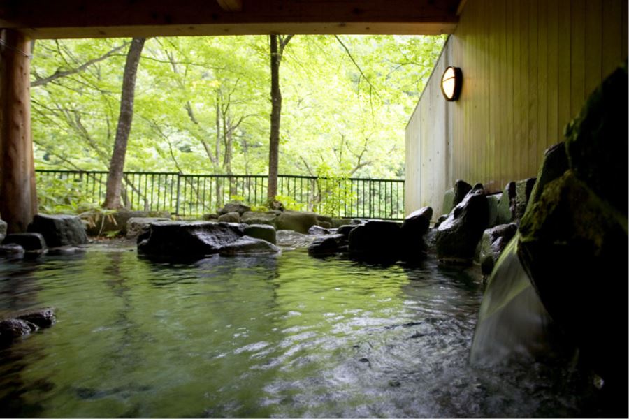 風木立の川辺 紫明館