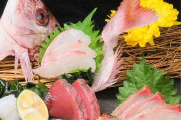 徳島魚一番新