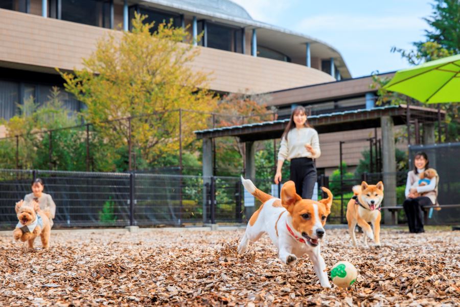 コレドール湯河原  Dog＆Resort