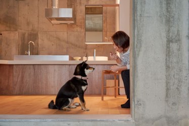 DOG＆ONSEN HOTEL HONJIN