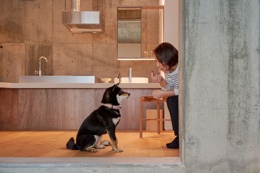 DOG＆ONSEN HOTEL HONJIN