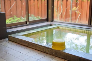 （日帰り温泉）台ヶ森温泉山野川旅館　DogVillage台ヶ森