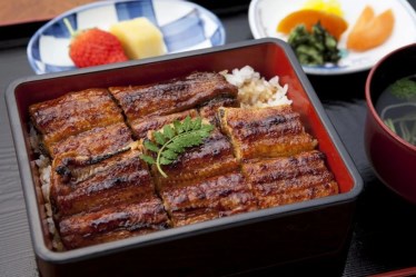 炭焼きうなぎ新城
