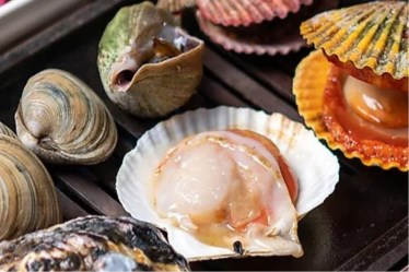 貝鮮浜焼きバイキング あみ浜食堂